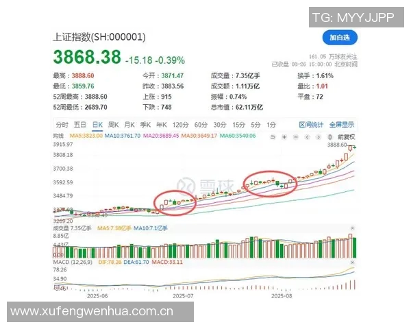 波尔图202425财年净利润突破3900万欧转会收益超过1亿欧 波尔图202425财年净利润突破3900万欧转会收益超过1亿欧