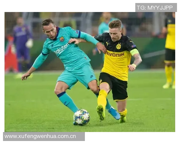 普尔期待费尔斯在新赛季展现潜力成长需要时间的积累与沉淀