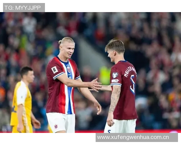 哈兰德专注于下一场比赛不愿谈世界杯晋级可能性 哈兰德专注于下一场比赛不愿谈世界杯晋级可能性