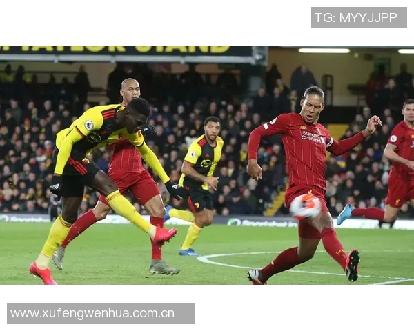 名嘴点评谢泼德三分能力不足防守漏洞亟待弥补