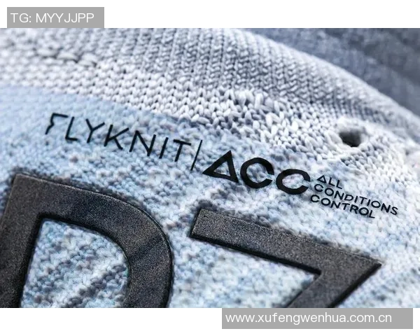 耐克明年将推出金色C罗战靴引发球迷热议 耐克明年将推出金色C罗战靴引发球迷热议